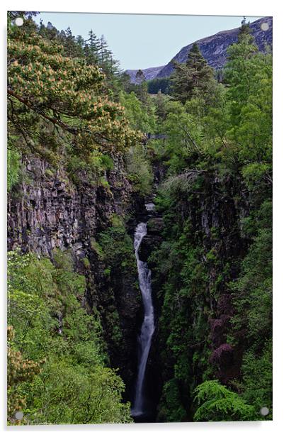 Corrieshalloch Gorge Waterfall Acrylic by Jacqi Elmslie