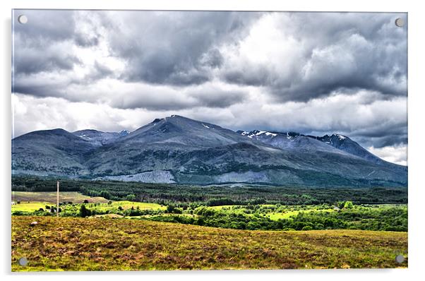 Ben Nevis Acrylic by Jacqi Elmslie