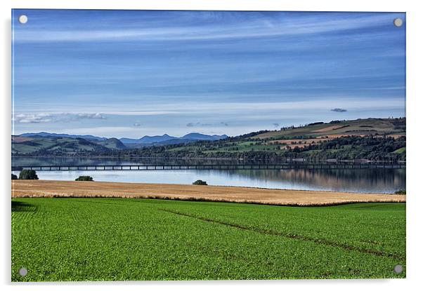  The Cromarty Firth Bridge Acrylic by Jacqi Elmslie