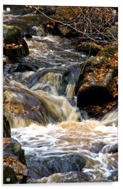 Waterfall in Cawdor Woods Acrylic by Jacqi Elmslie