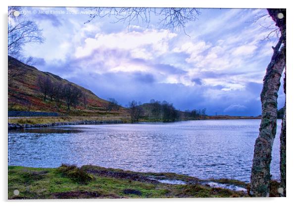 Winter Light on Loch Tarff Acrylic by Jacqi Elmslie