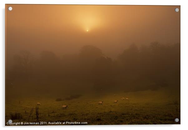 A Misty Morning Acrylic by Jim kernan