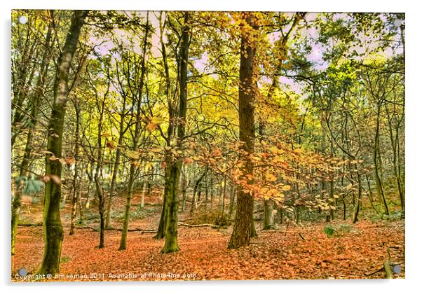 Autumn Colours Acrylic by Jim kernan