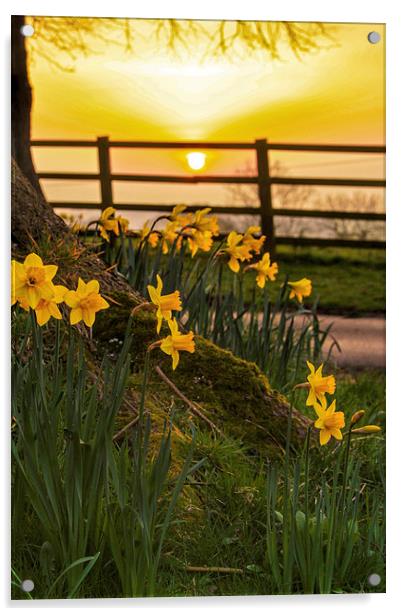 A Spring Sunset Acrylic by Jim kernan