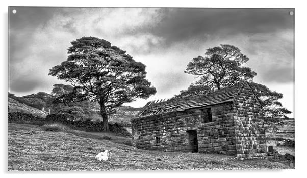 The Barn B&W Acrylic by Jim kernan