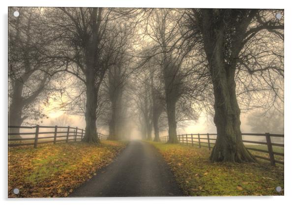 Foggy Day Acrylic by Jim kernan
