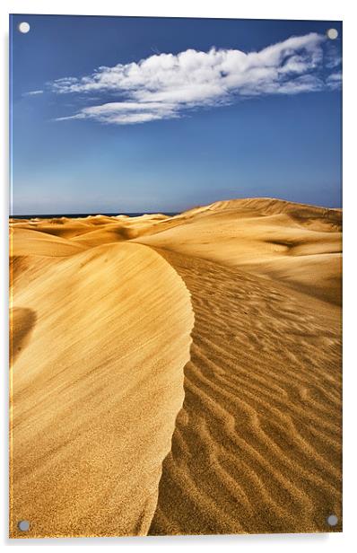 Malpalomas Sand Dunes Acrylic by Jim kernan