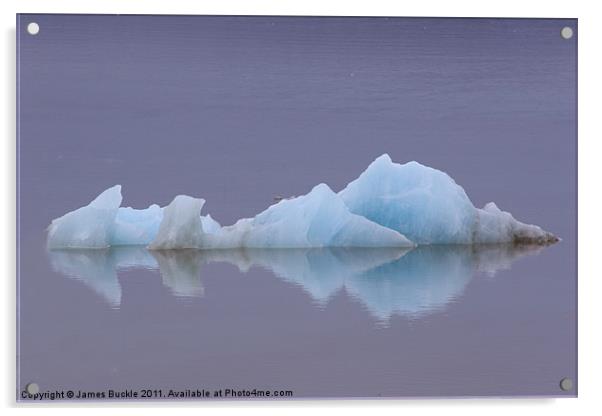 Lonely Ice Acrylic by James Buckle