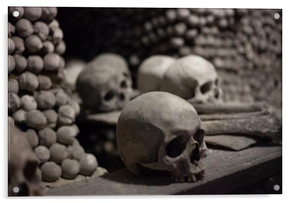 Skulls of Kutná Hora Acrylic by James Buckle