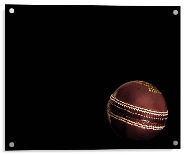 cricket Acrylic by paul morris