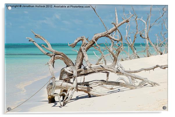 Driftwood - Barbuda Acrylic by Jonathan Hullock