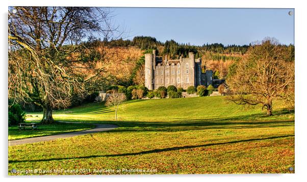 Castlewellan Castle Acrylic by David McFarland