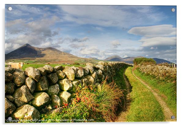 Pathway to the Mourne Mountains Acrylic by David McFarland
