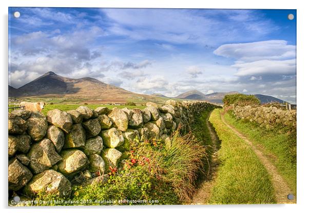 Rural pathway into the Mournes Acrylic by David McFarland