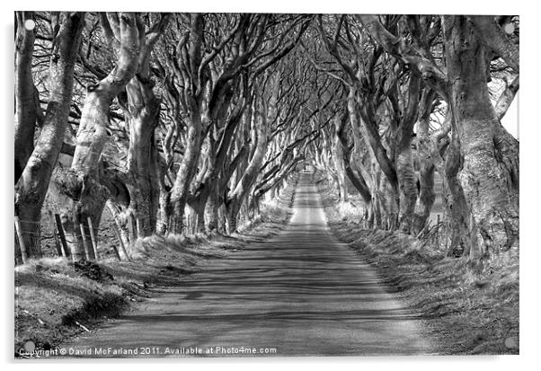 Shadowlands near Armoy Acrylic by David McFarland