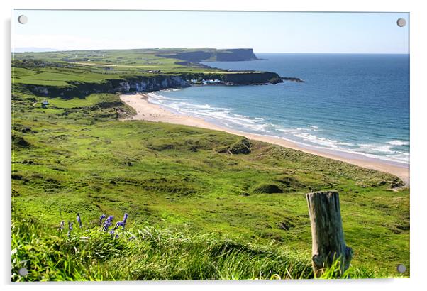 Whitepark Bay County Antrim Acrylic by David McFarland