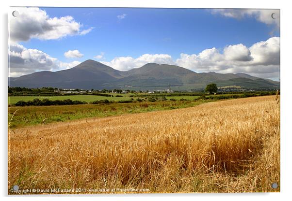 Golden Mountains of Mourne Acrylic by David McFarland