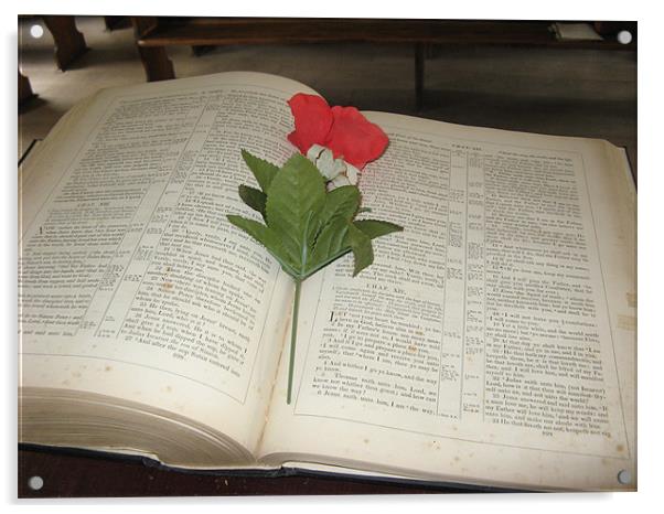 Bible with Flower Acrylic by Diane Brause