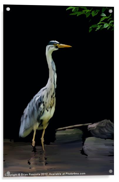 The Heron Acrylic by Brian Roscorla