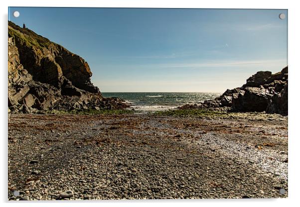 Cadgwith Cove Beach Acrylic by Brian Roscorla