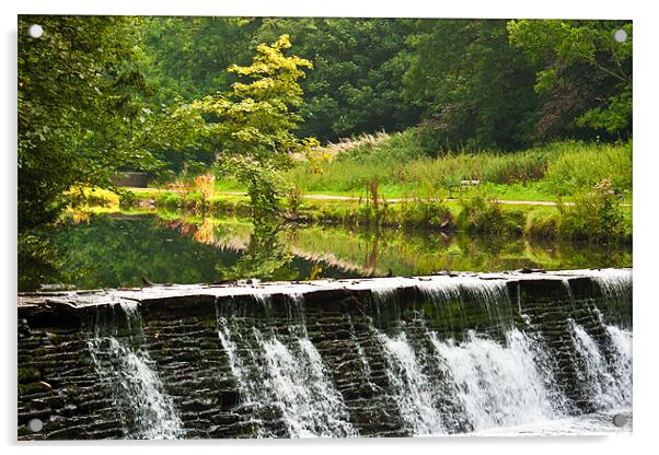 The Weir at Oldbury Court Acrylic by Brian Roscorla