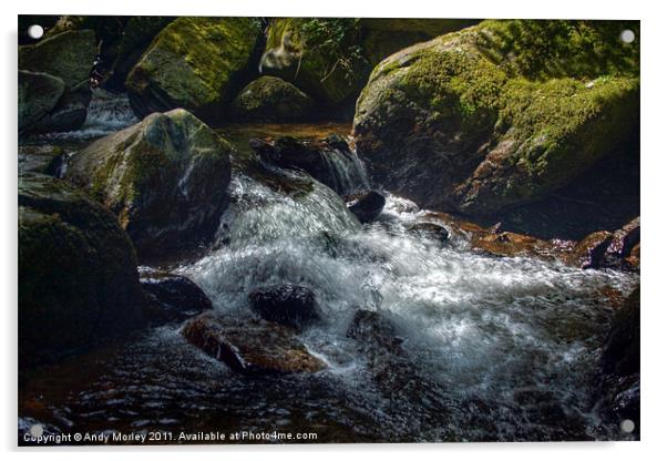 The river Lyn flowing through Lynmouth Gorge Acrylic by Andy Morley