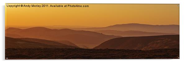 Golden Dawn Acrylic by Andy Morley