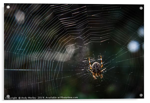 The Spider's Web Acrylic by Andy Morley