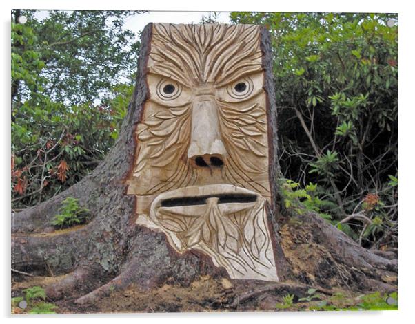 stump face unpainted Acrylic by malcolm maclean