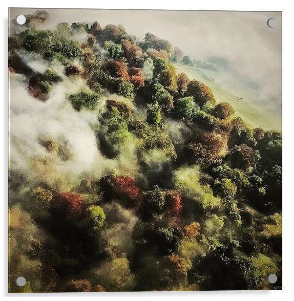 Autumn Mist Acrylic by Steve Marriott