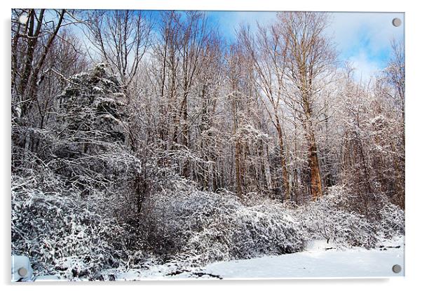 First Snow Acrylic by james balzano, jr.
