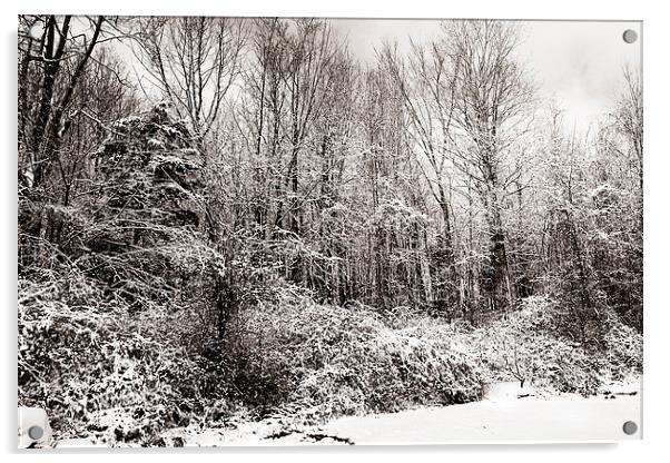 Duotone of Snow and Trees Acrylic by james balzano, jr.