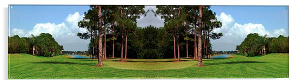 Panorama of Lawn and Lake Acrylic by james balzano, jr.