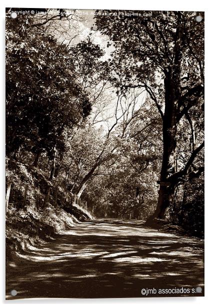 Tritone of Along the Dusty Road Acrylic by james balzano, jr.