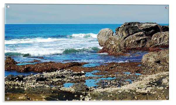  Seacoast Rocks at Low Tide Acrylic by james balzano, jr.