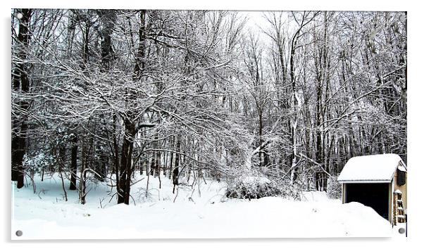 Recent Snow  Acrylic by james balzano, jr.