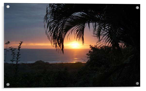 Sunset Through the Palms Acrylic by james balzano, jr.