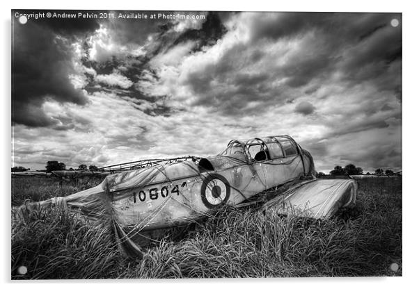 Airplane remains Acrylic by Andrew Pelvin