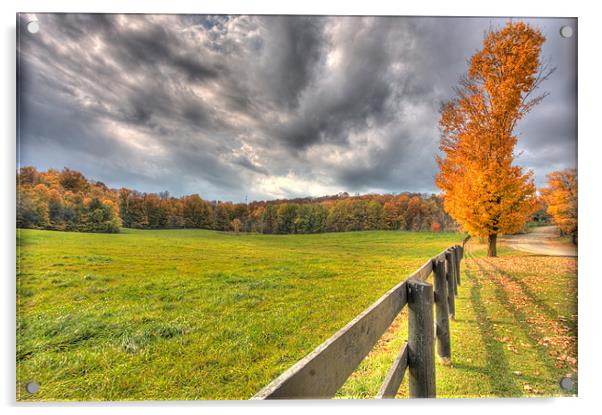Autumn field Acrylic by Andrew Pelvin