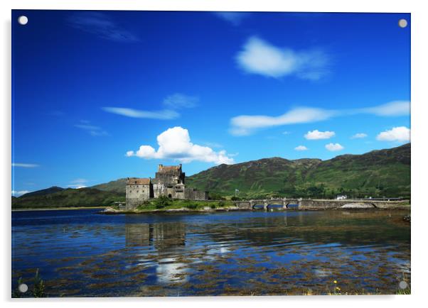 Eilean Donan Castle Acrylic by raymond mcintosh