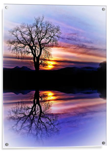 The Tree Of Reflections Acrylic by Aj’s Images