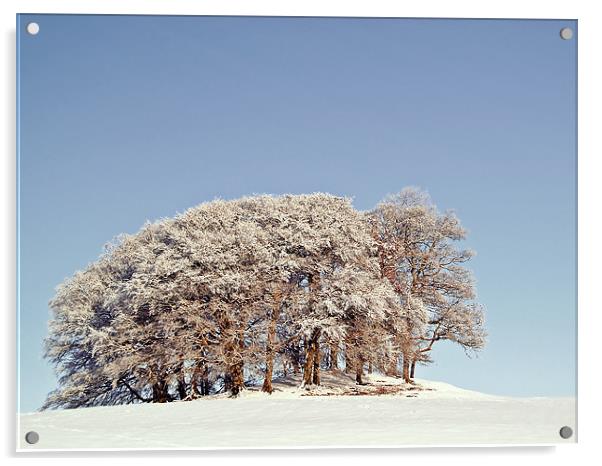 A Scottish Snow Scene Acrylic by Aj’s Images