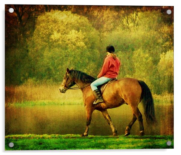 A Gentle Canter Acrylic by Aj’s Images