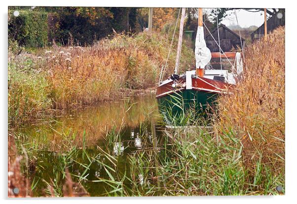Moored at Hickling Acrylic by Stephen Mole
