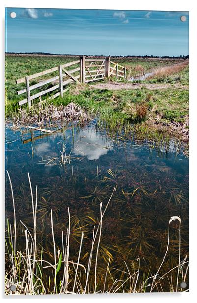 Marsh View Acrylic by Stephen Mole