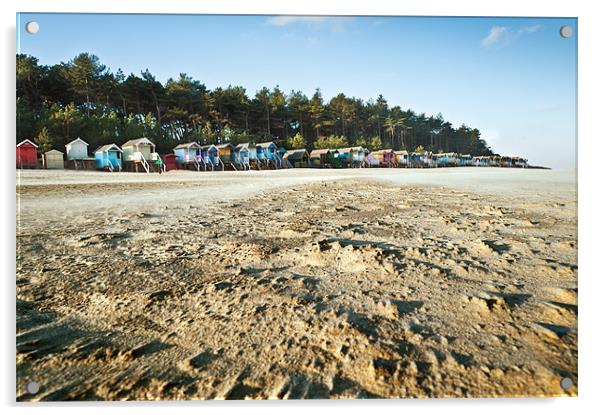 Windswept Beach Huts Acrylic by Stephen Mole