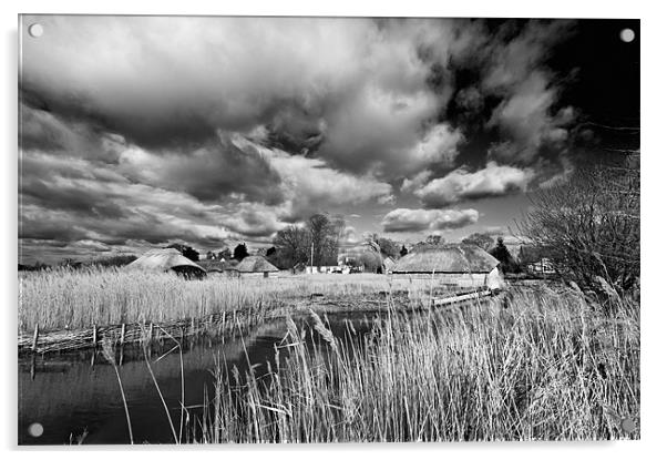 Reeds and Thatch at Hickling Acrylic by Stephen Mole