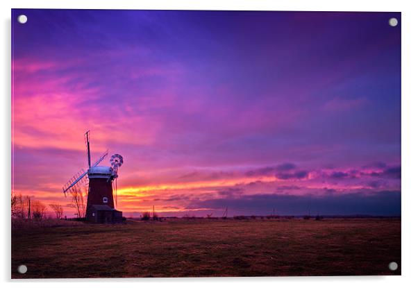 Horsey Mill sunrise Acrylic by Stephen Mole