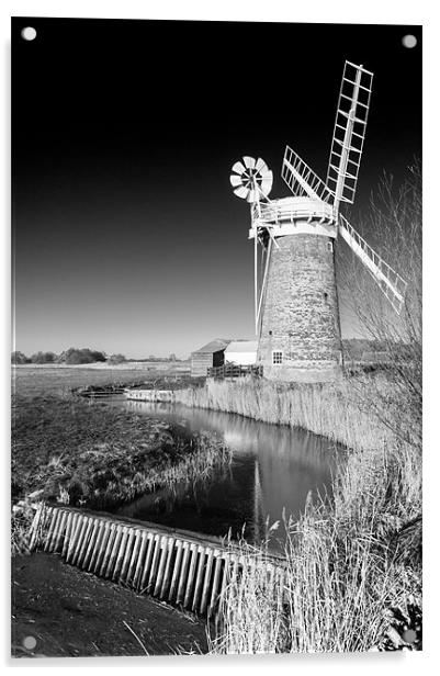 Horsey Mill in Black and White Acrylic by Stephen Mole