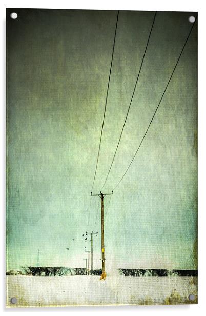 Power lines Acrylic by Stephen Mole